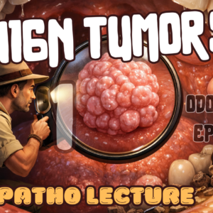Oral Patho 2 Qena, 2. Non-Odontogenic Tumors