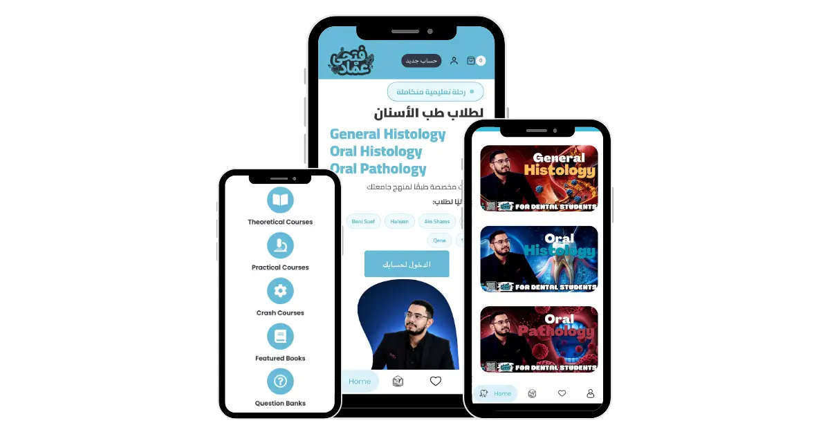 واجهة التطبيق